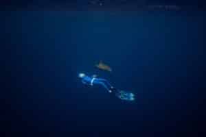 scuba diving jupiter florida. top reasons why jupiter florida is a great destination for adventure seekers