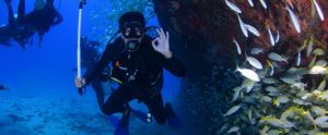 Diver underwater in scuba gear signals "OK" near a school of fish swimming alongside a rocky formation. Other divers are visible in the background.